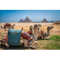 Egypt Travel logo - Similar company to Go Bus