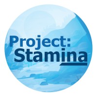 PROJECT: STAMINA LLC logo - Similar company to Knight Shift Games