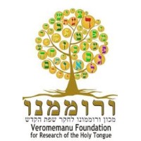 Veromemanu Foundation logo - Similar company to Imran Associates