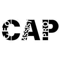 CEO Assist Pro logo - Similar company to Digital Staff Solutions