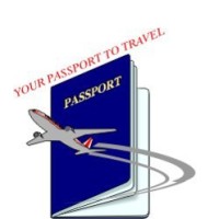 Visas International logo - Similar company to One Visa World