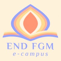 End FGM E-Campus logo - Similar company to Stratton School