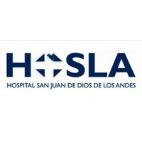 Hospital San Juan de Dios de los Andes logo - Similar company to Chilerad