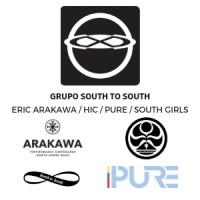 Grupo South to South logo - Similar company to Grupo Mdr