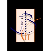 Bernard IT logo - Similar company to Frank De Bot ™