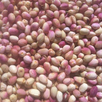 Karam Pistachio Farm logo - Similar company to Pistachio Studio