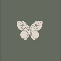 Social Butterfly Midlands