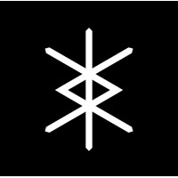 StarIC logo - Similar company to Silicon-Force