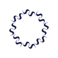 Systelium logo - Similar company to Codesolid