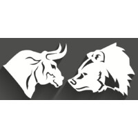 Bull & Bear Financial Strategies Pty Ltd logo - Similar company to Secured Wealth