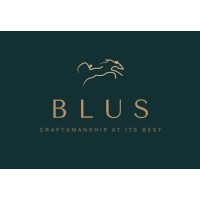 Blus Tools logo - Similar company to White Studio