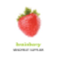 Brainberry