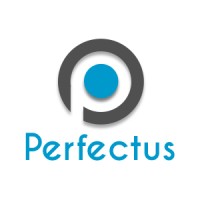 Perfectus Web Insights logo - Similar company to Coders Crafter