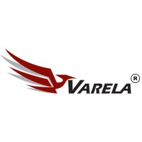 AUTOTRANSPORTES VARELA DAVILA logo - Similar company to Kanguro Logistics