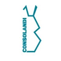 IMPIANTI E CARPENTERIE CONSOLANDI SRL logo - Similar company to Tecnomodel Engineering S.R.L.