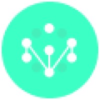 Net Origin India logo - Similar company to Icongen It Solutions