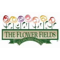 The Flower Fields