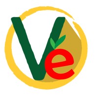 Veganzo logo - Similar company to Amrita Racing