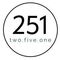 Two Five One Consulting logo - Similar company to Stamp Of Sunshine
