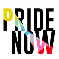 PrideNOW logo - Similar company to Pridenow