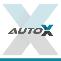 AutoX logo - Similar company to Raystech Group South Africa