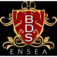 BDS ENSEA logo - Similar company to Ensea Quantum Computing