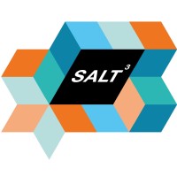 SALT3 logo - Similar company to Onemilegrid