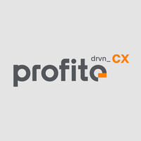 Profite logo - Similar company to Vault Labs E-Commerce Solutions