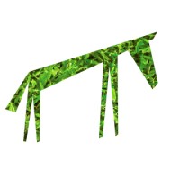 Grasshorse Studios logo - Similar company to Euphoria Productions Llc