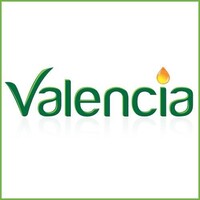 Valencia Officiel logo - Similar company to Valancias