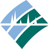 RIC resolve logo - Similar company to Cobatim