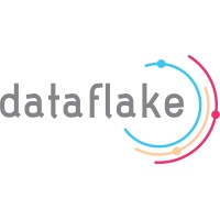 Dataflake LLC-( E-Verified ) logo - Similar company to S6 Technovations