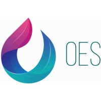 Optimization Engineering Supplies - OES logo - Similar company to Power City Network Ltd.