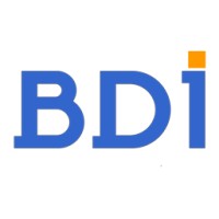 Big Data Infinity logo - Similar company to Cloud Consultant