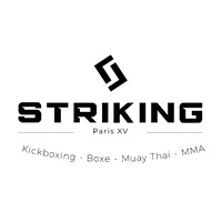 Striking Paris 15 logo - Similar company to Hard Disk Drive Data Recovery | Dataclinic
