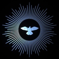 Magic Bird logo - Similar company to Vodalys