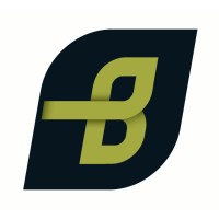 BI System Builders Ltd logo - Similar company to Bi System S.A.S. Di Borsari G. & C.