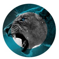 Corevider logo - Similar company to Cefexie