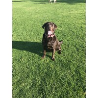 A S Accounting Service Inc logo - Similar company to Accounting Breeze, Llc