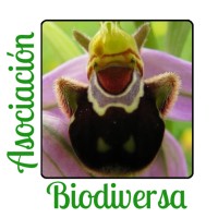 Asociación Biodiversa logo - Similar company to Pollinator Ambassadors