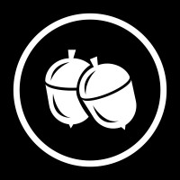 Ballsy logo - Similar company to Honestly Margo