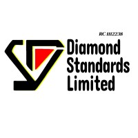 Diamond Standard Limited (Diamond Media and Branding) logo - Similar company to Blossom Va Services