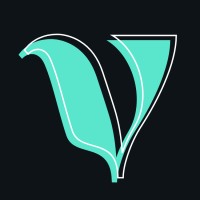 The Vizion logo - Similar company to Forgevision Technologies