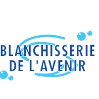 Blanchisserie de L'Avenir 37 logo - Similar company to Tech-Sys Sas