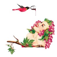 Negociante logo - Similar company to Sfera Litro