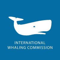 INTERNATIONAL WHALING COMMISSION logo - Similar company to Imcs Network