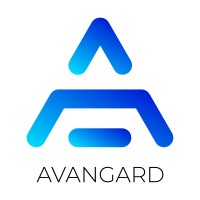 Avangard IT logo - Similar company to Digisavvy®