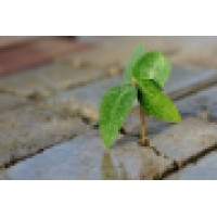 Stakeholder Capital Consulting