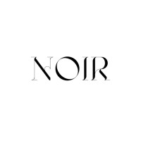 Noir Talent Collective logo - Similar company to Lead'Rs