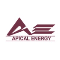 APICAL INTERNATIONAL ENERGY & RESOURCES LIMITED logo - Similar company to Fastrack Academy